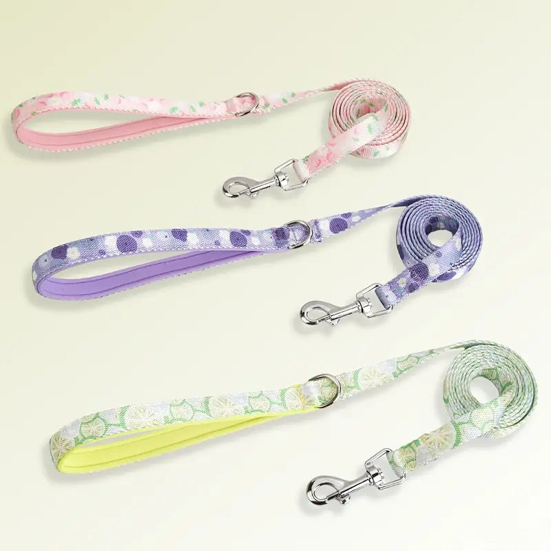 Fruit Style Dog Harness Leash Set