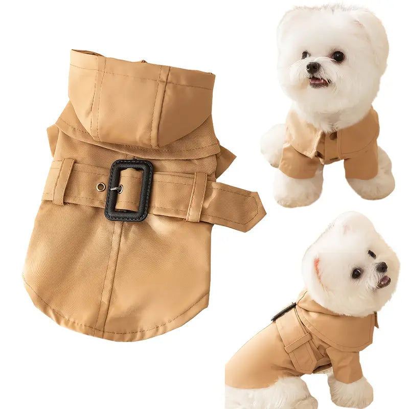 Trench Coat