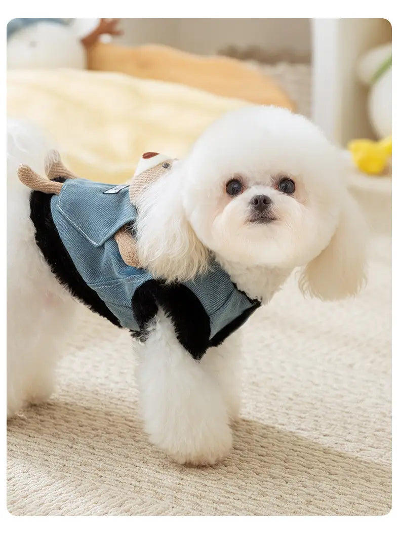 Dog Clothing Pocket