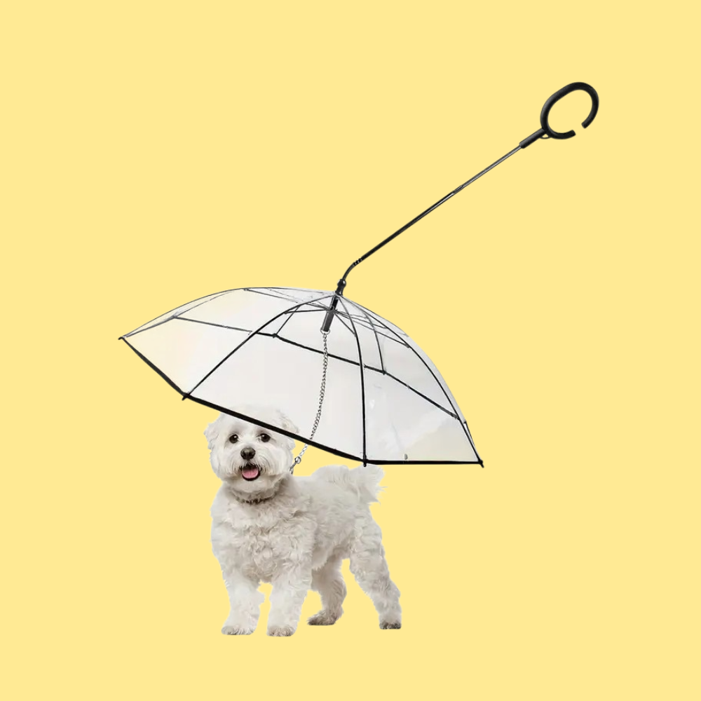 Dog Umbrella