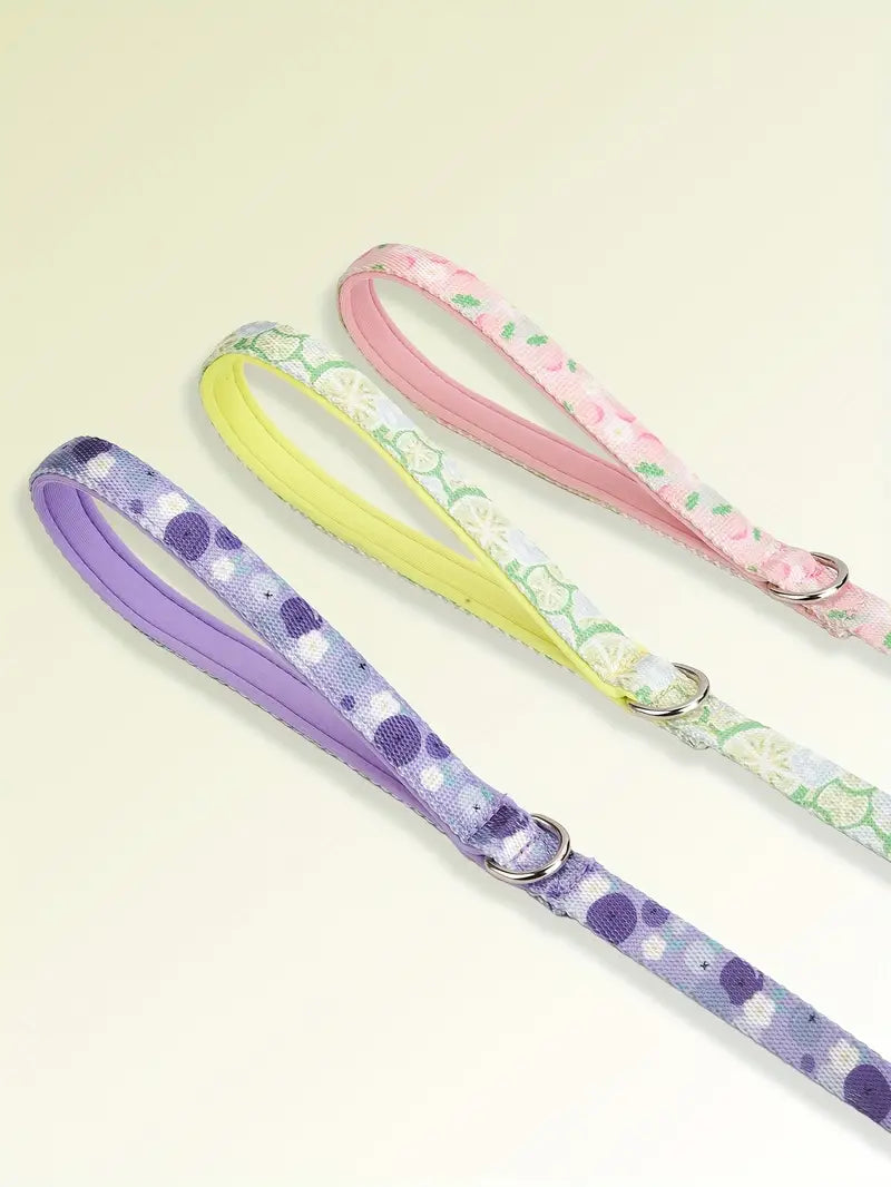 Fruit Style Dog Harness Leash Set