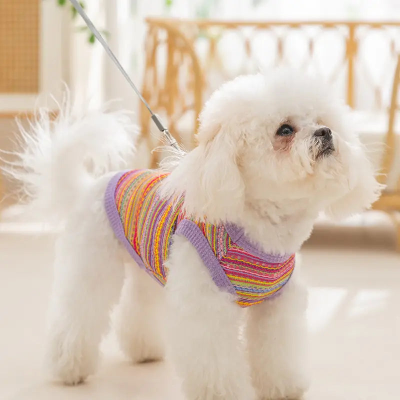 Dog Bohemian vest