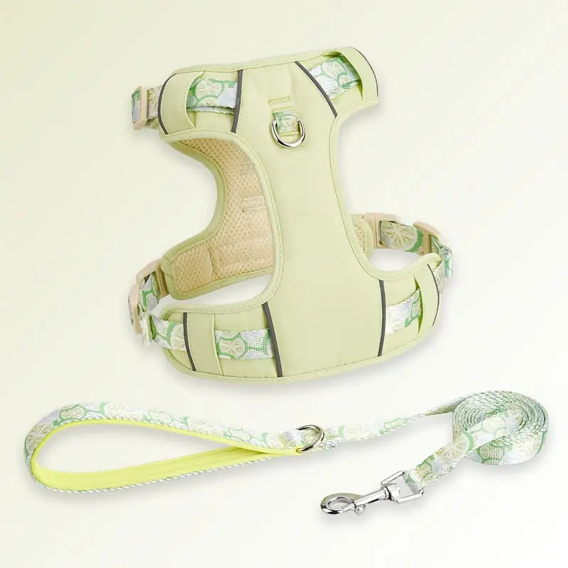 Fruit Style Dog Harness Leash Set