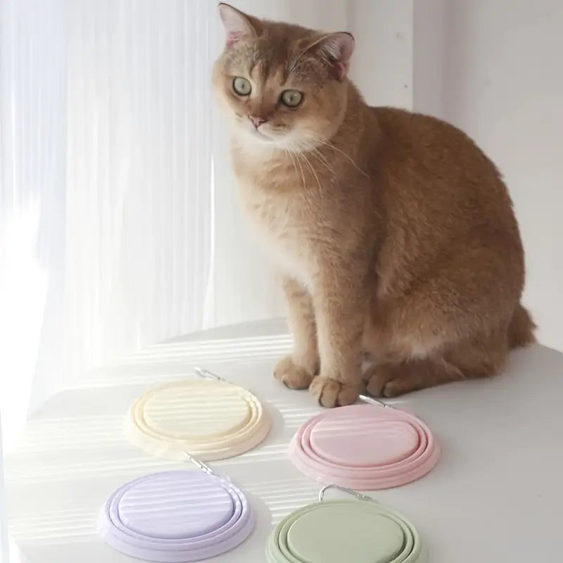 350ml Portable Pet Bowl