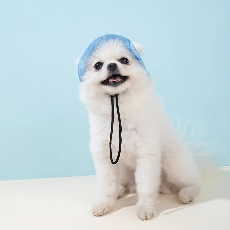 Pet Sun Hat
