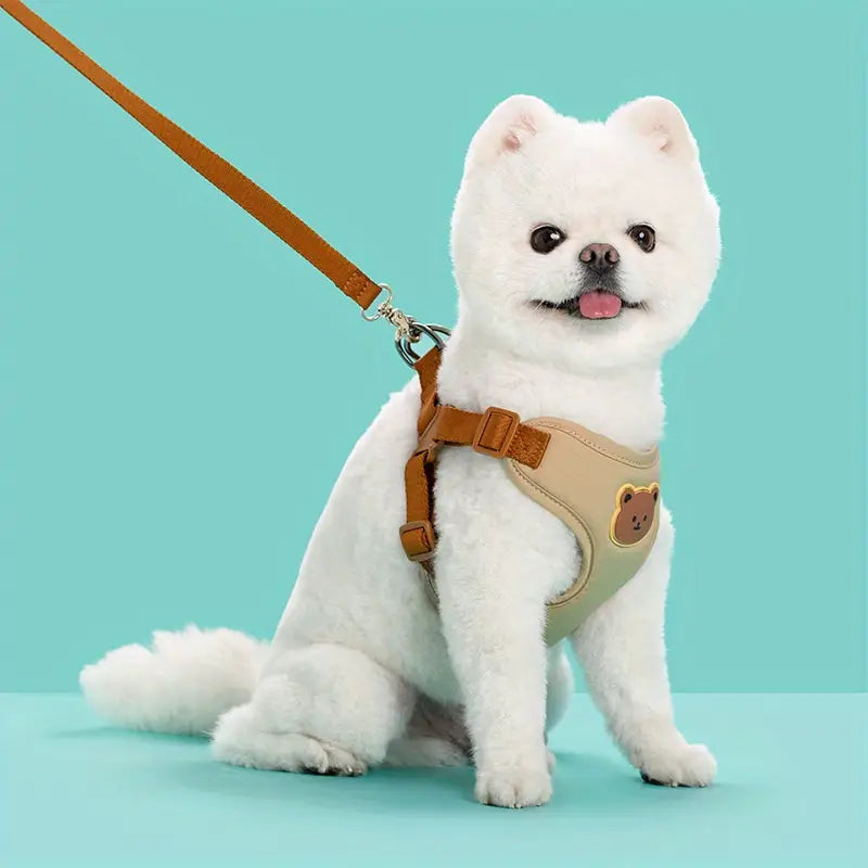 Bear Pet Harness Leash
