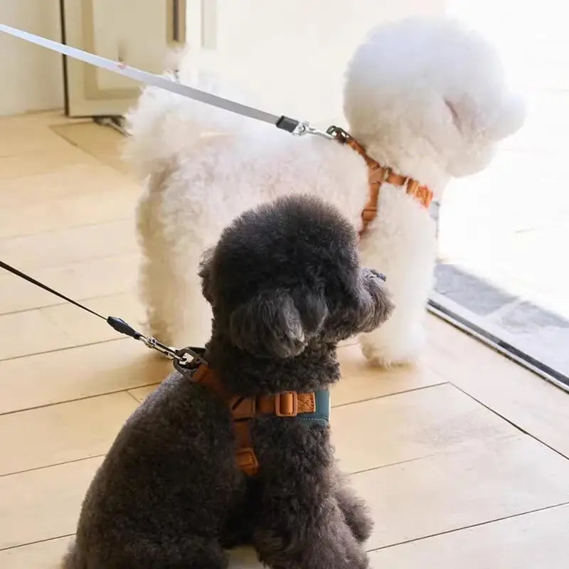 Bear Pet Harness Leash