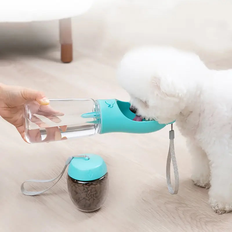 Dog Water Dispenser & Snack Holder