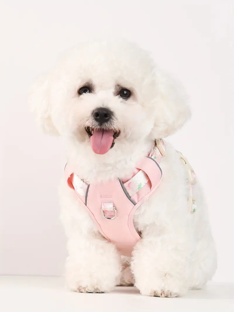 Fruit Style Dog Harness Leash Set