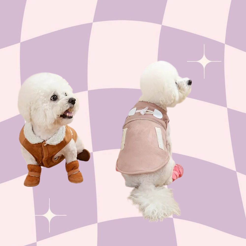 Pet Dog Shoes