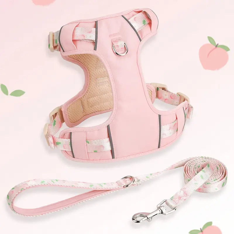 Fruit Style Dog Harness Leash Set