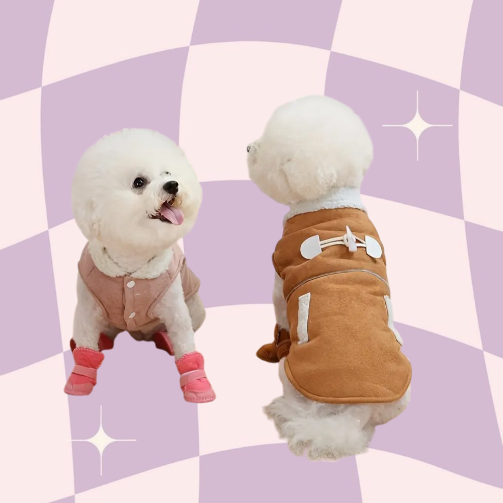 Pet Dog Shoes