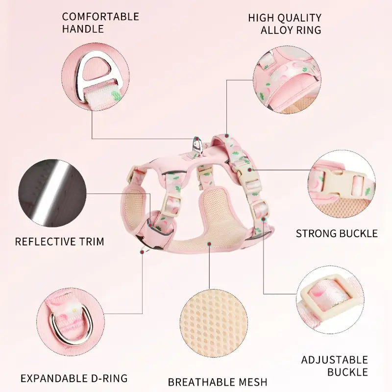 Fruit Style Dog Harness Leash Set