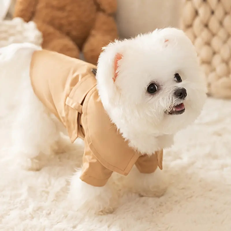 Trench Coat