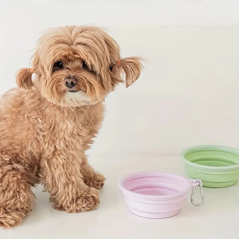 350ml Portable Pet Bowl