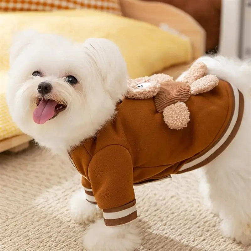 Sweatshirt Bear Pocket