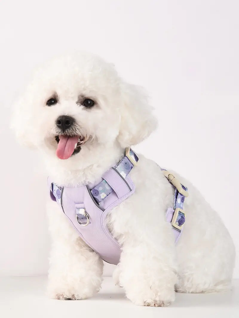 Fruit Style Dog Harness Leash Set