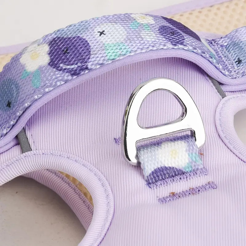 Fruit Style Dog Harness Leash Set