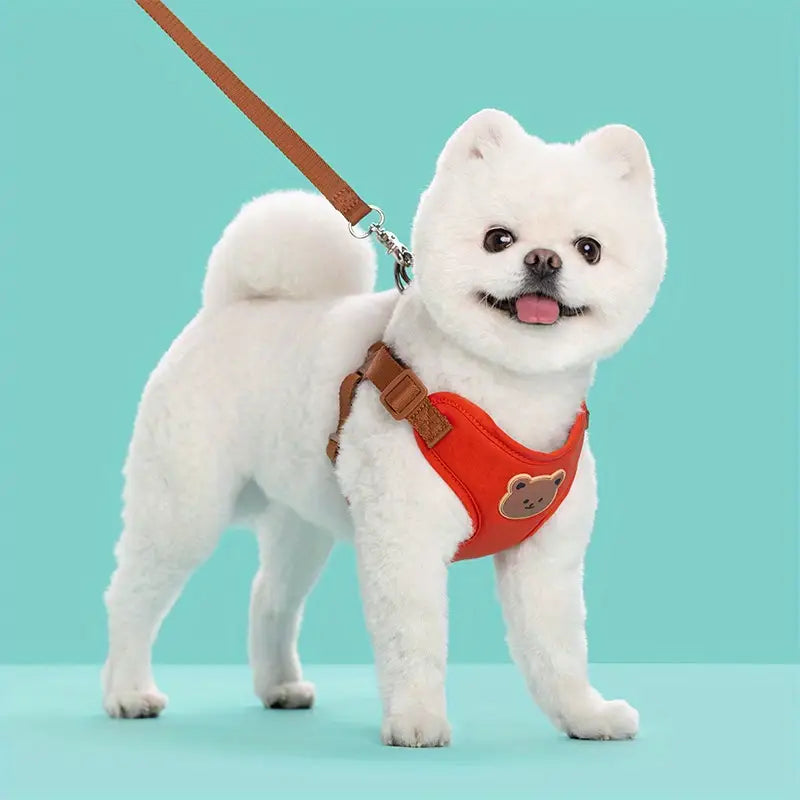 Bear Pet Harness Leash
