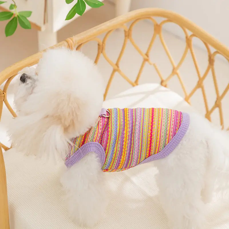 Dog Bohemian vest