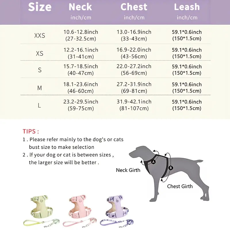 Fruit Style Dog Harness Leash Set