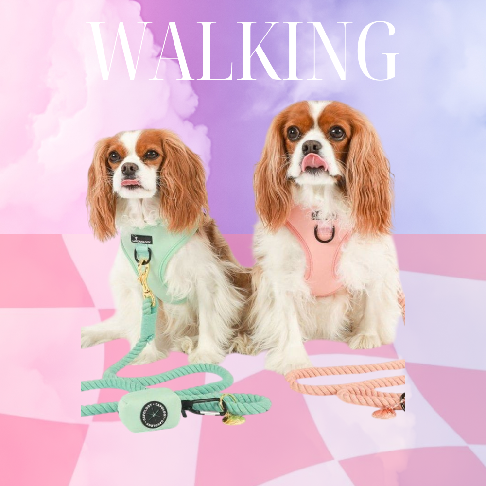 Walking