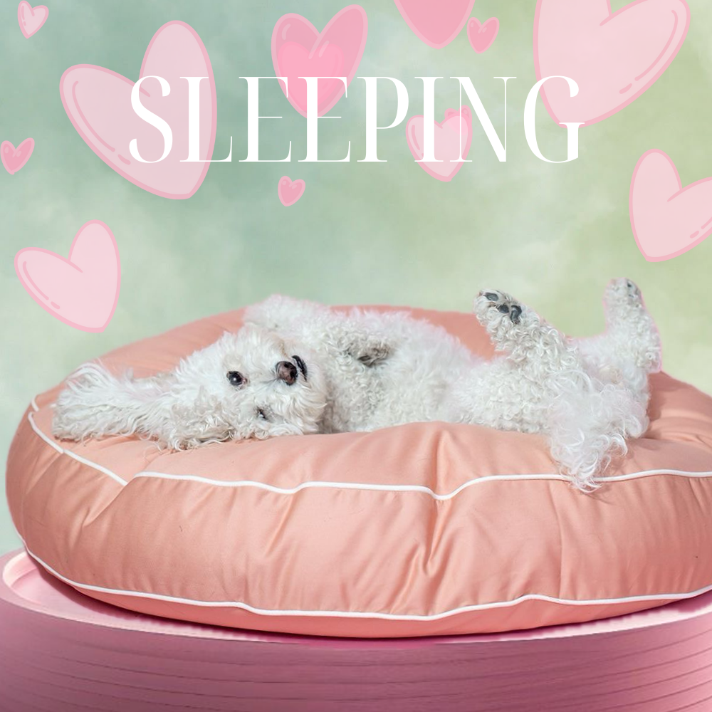 Sleeping