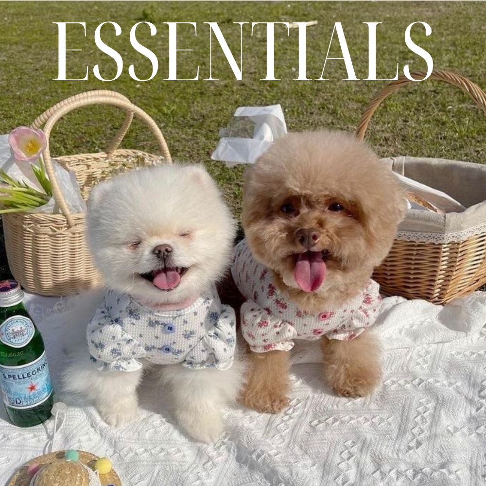 Essentials