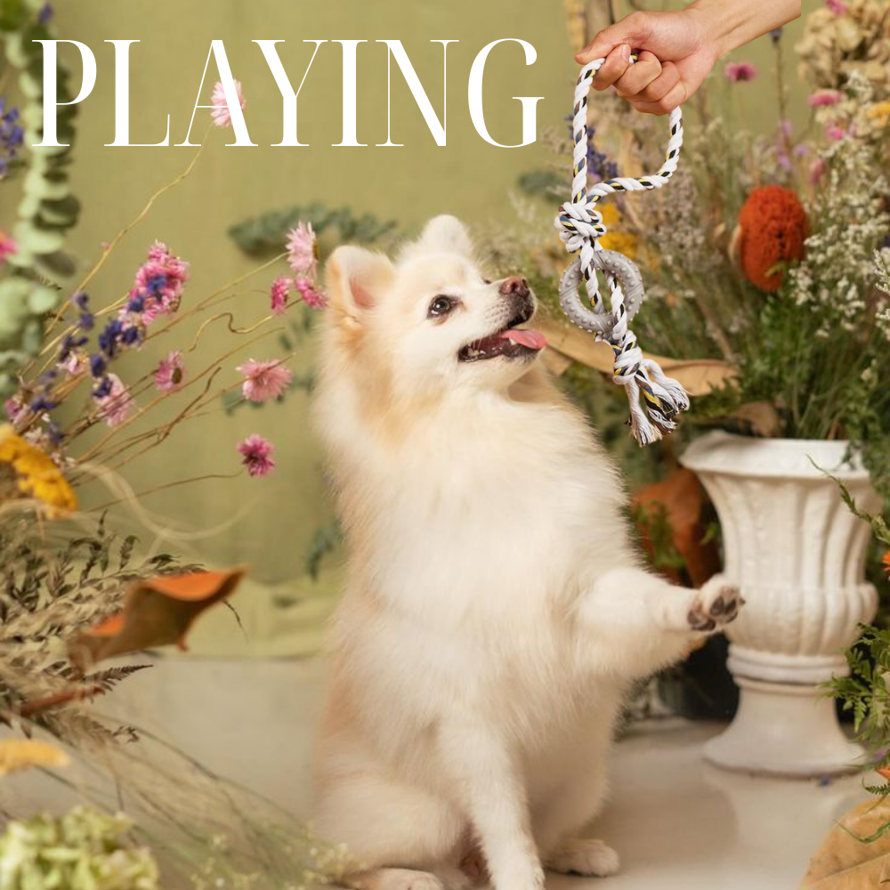 Playing