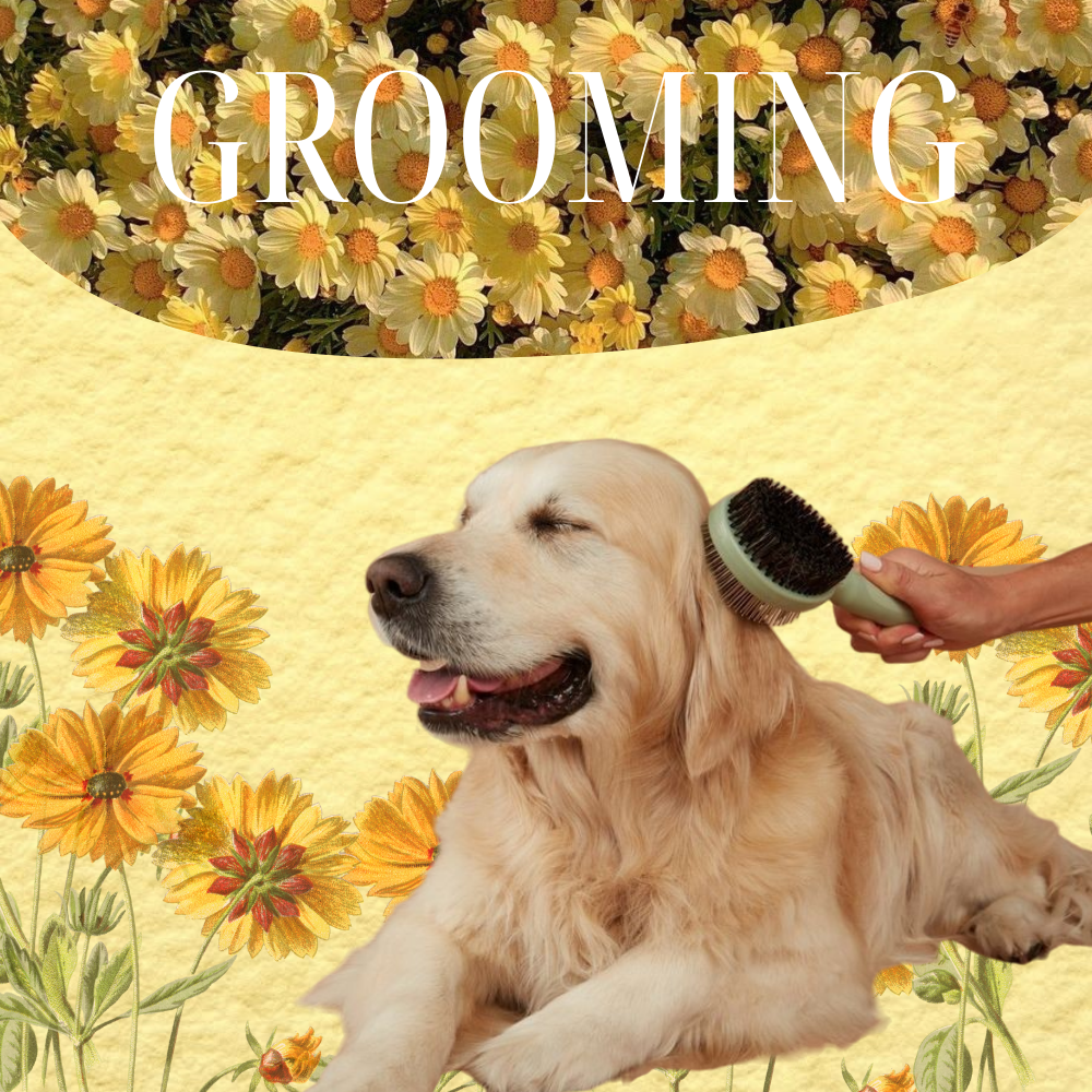 Grooming