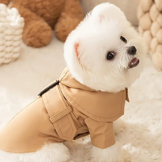 Trench Coat