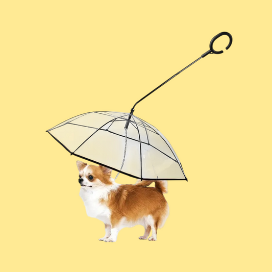 Dog Umbrella
