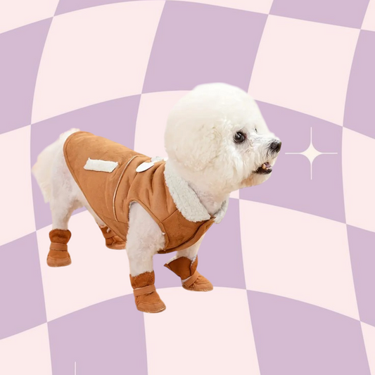 Pet Dog Shoes