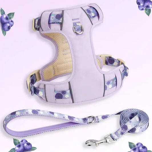 Fruit Style Dog Harness Leash Set
