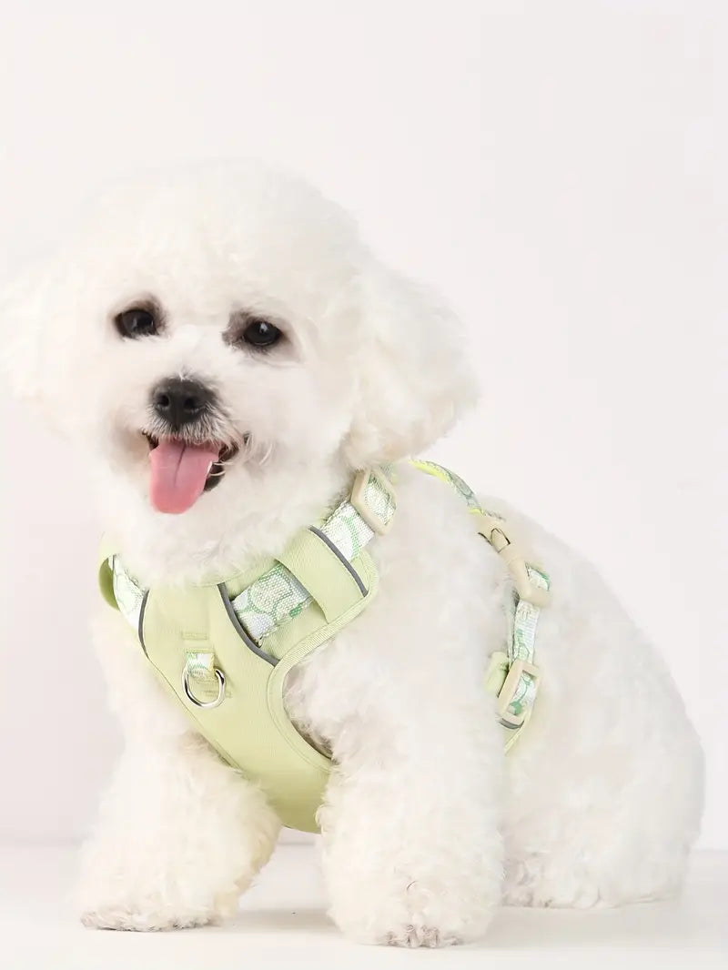 Fruit Style Dog Harness Leash Set