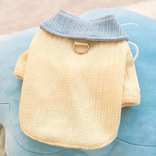 Color Block Basic Shirt