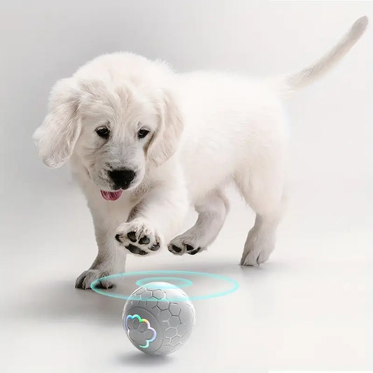 Dog Toys Bouncing Ball